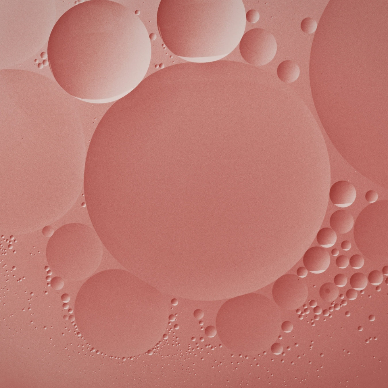 Biotin &amp; Niacinamide 
(Vitamin B7 + B3)