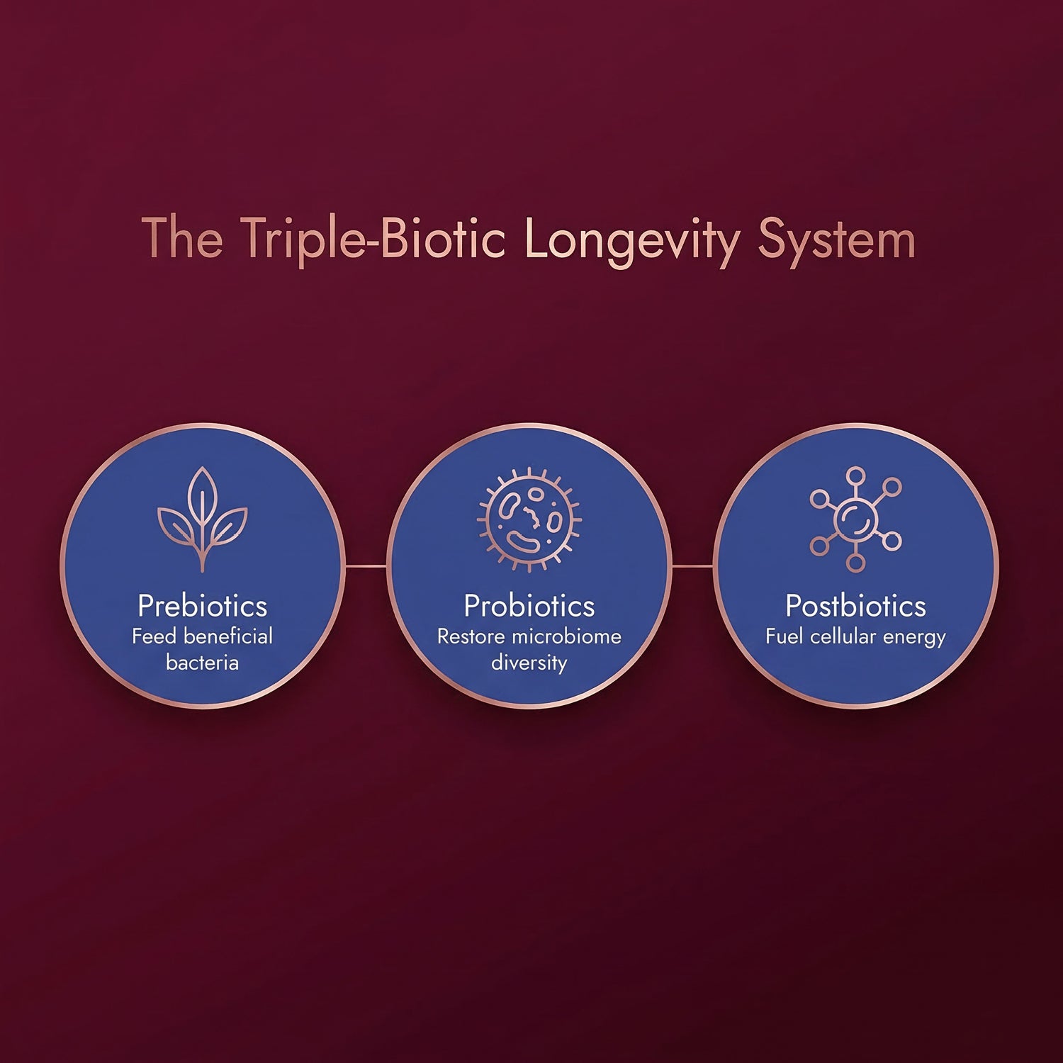 Microbiome-First Longevity Support