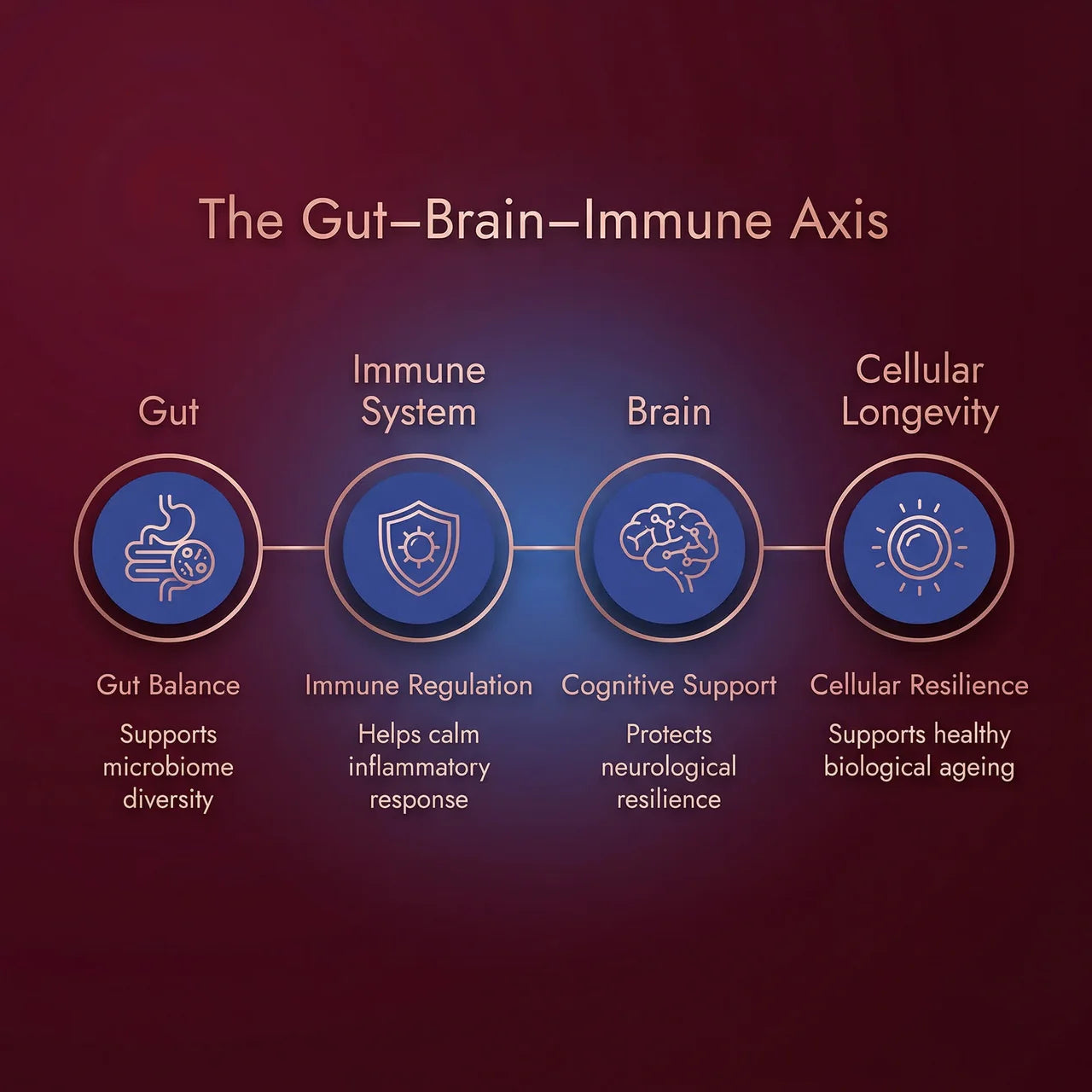 Microbiome-First Longevity Support