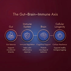 Microbiome-First Longevity Support