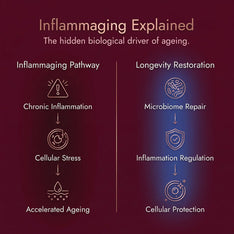 Microbiome-First Longevity Support