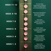 Ultra Performance For Men - Calmerceuticals