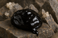 fermented shilajit
