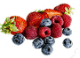 Forest Fruit
