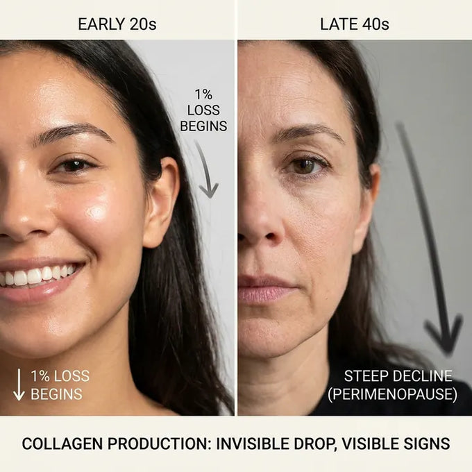 Collagen production comparison: early 20s vs late 40s