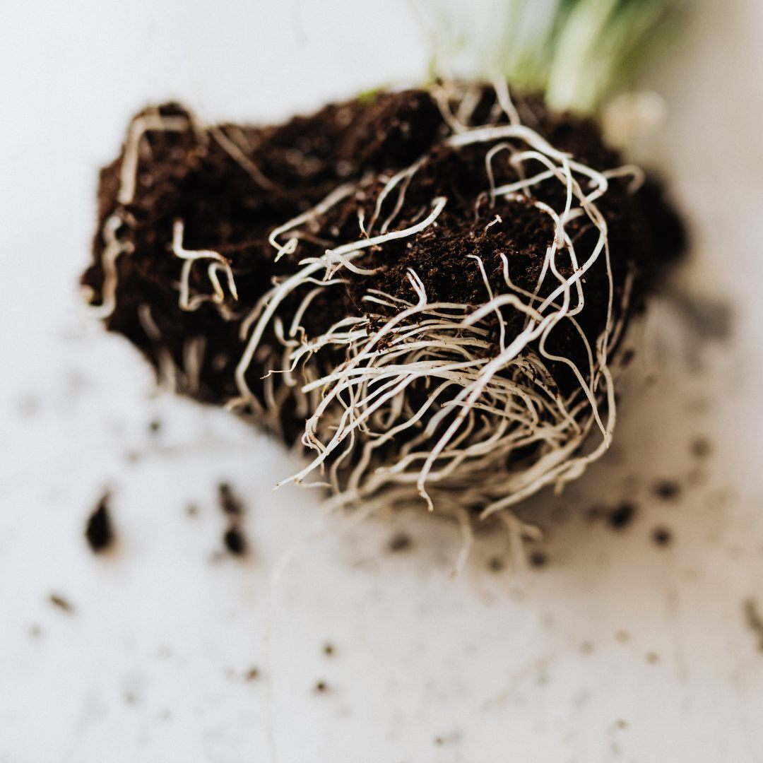 Hyaluronic Acid &amp; Panthenol 
(Pro-Vitamin B5)